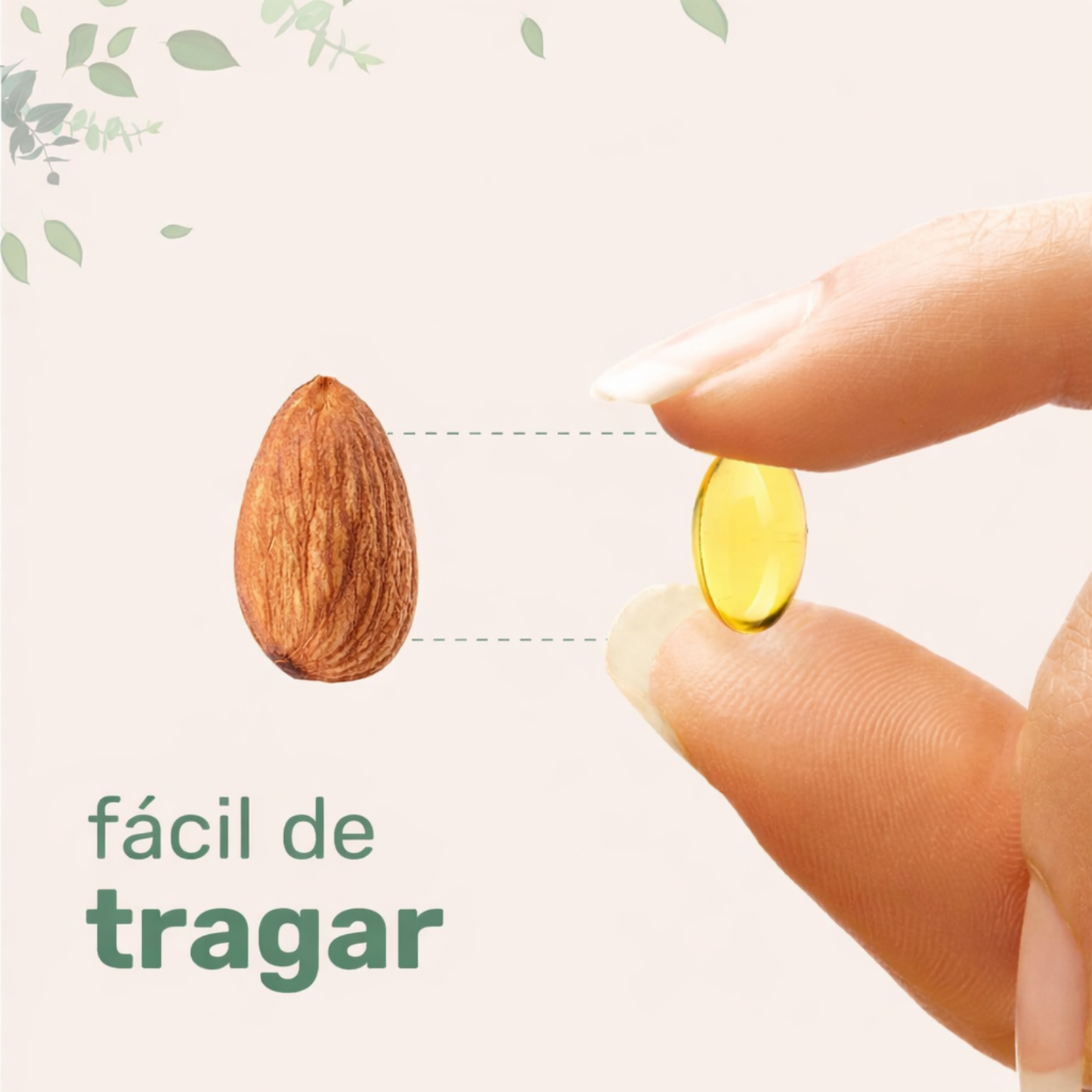 Zelona Cápsulas Blandas de Orégano 6000Mg por Porción, 300 Unidades